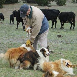 Meet your Posher, Sam